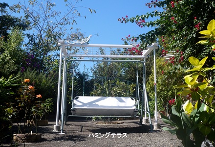 20220408102655001.jpg 田村.jpg
